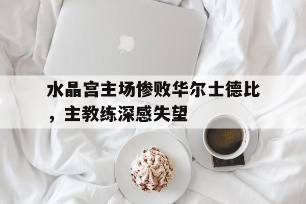 乐动体育-关于水晶宫主场惨败华尔士德比，主教练深感失望的信息