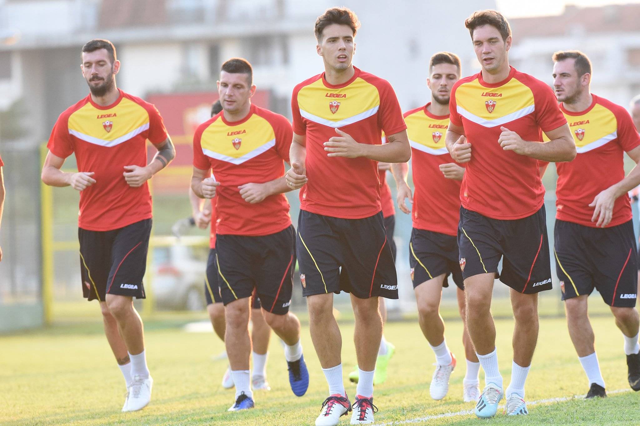 乐动体育-威尔士队取胜连连，成功锁定世界杯席位(威尔士队战绩)